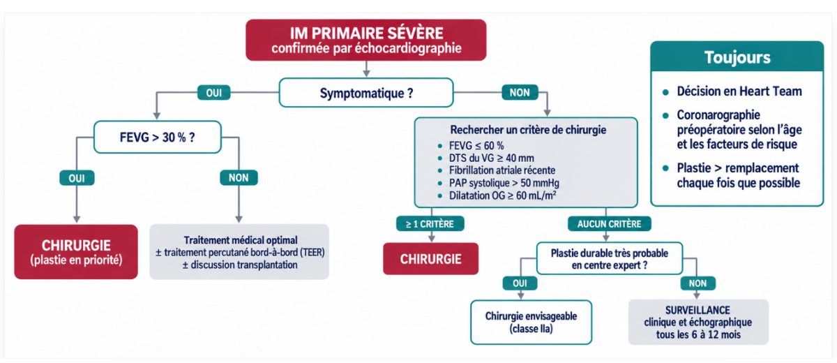 Arbre décisionnel partant d'une IM primaire sévère, séparant les patients symptomatiques et asymptomatiques, avec les seuils de FEVG, de diamètre télésystolique du VG, de fibrillation atriale et de pression pulmonaire, et aboutissant à la plastie, au remplacement valvulaire, au traitement percutané ou à la surveillance.
