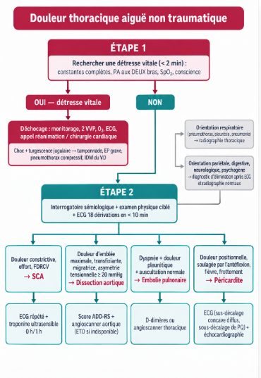 Arbre décisionnel en trois étapes : recherche de détresse vitale, puis orientation par l'interrogatoire, l'examen physique et l'ECG, puis choix des examens complémentaires selon l'hypothèse retenue.