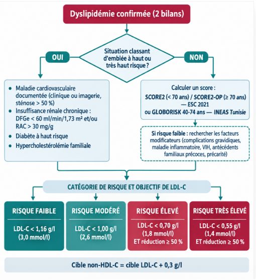 Arbre décisionnel partant d'une dyslipidémie confirmée, distinguant les situations classant d'emblée en haut ou très haut risque de celles nécessitant le calcul d'un score SCORE2 ou Globorisk, aboutissant à quatre niveaux de risque et aux cibles chiffrées de LDL-cholestérol correspondantes.