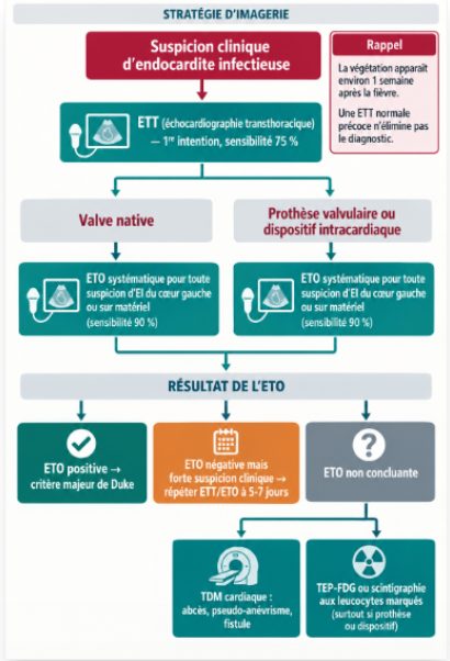 Algorithme décisionnel partant de la suspicion clinique vers l'ETT puis l'ETO, avec les branches valve native, prothèse ou dispositif, et le recours à la TDM cardiaque et au TEP-FDG.
